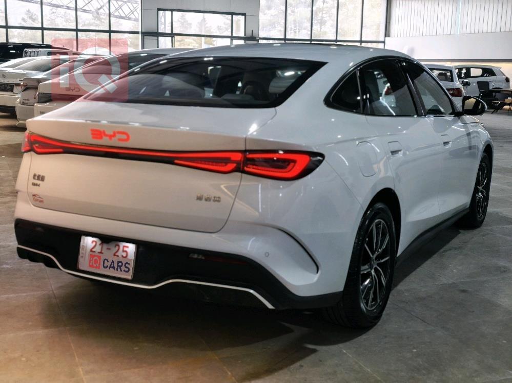 بي واي دي سيل 06 DM-i